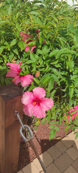 Gartenanlage R2 Romantic Fantasia Suites - Adults only