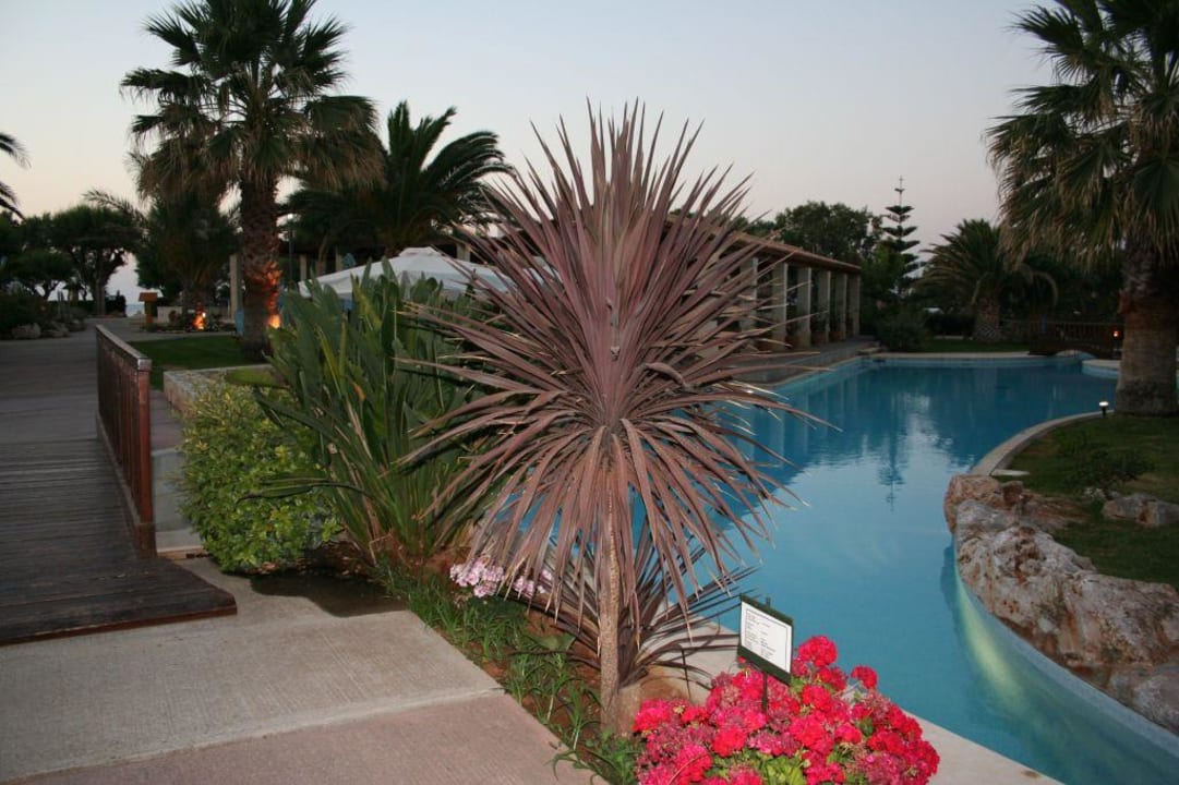 Pool im letzten Tageslicht Phãea Cretan Malia