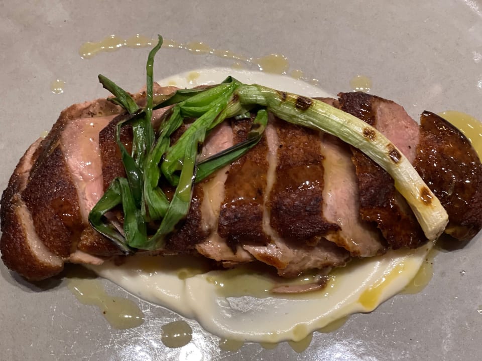 Gastro Acanthus Cennet Barut Collection