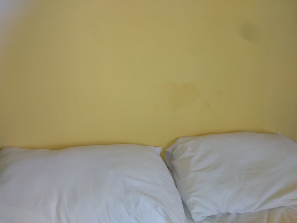 Zimmer Imperial Palace Hotel