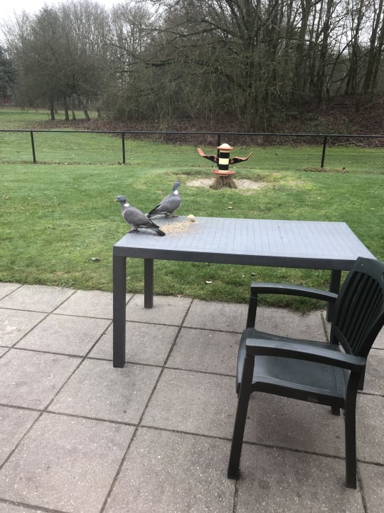 Zimmer Ferienpark Klein Vink