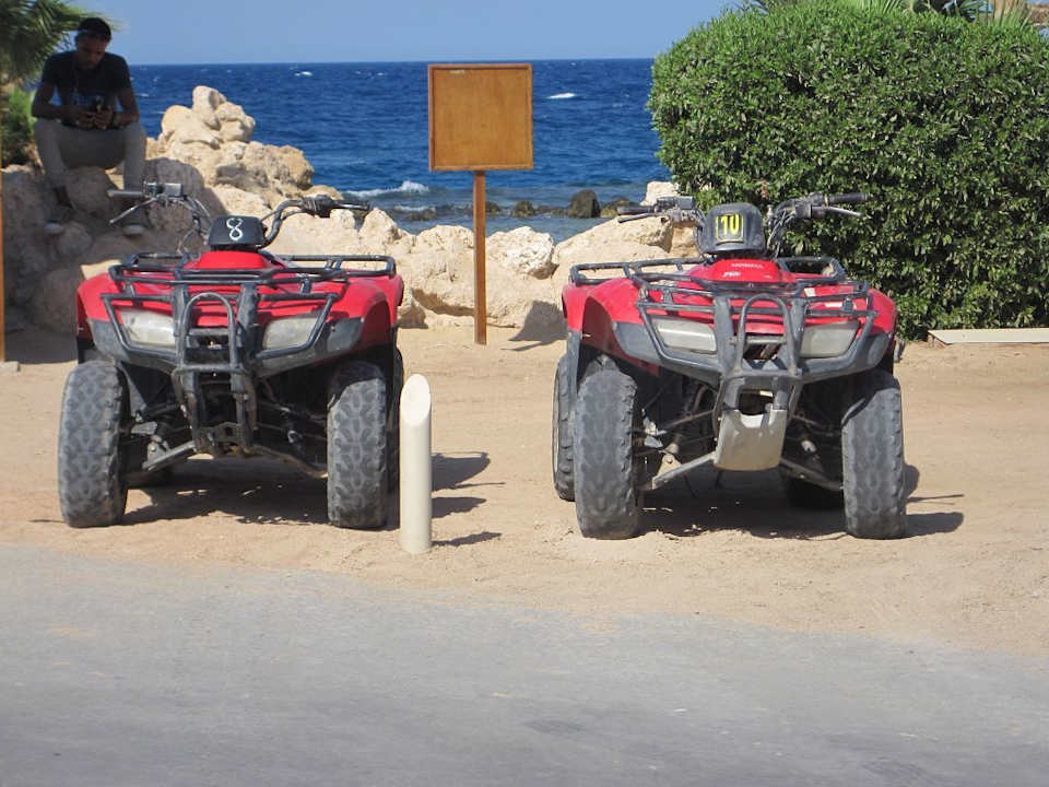 Strand Pickalbatros Citadel Resort