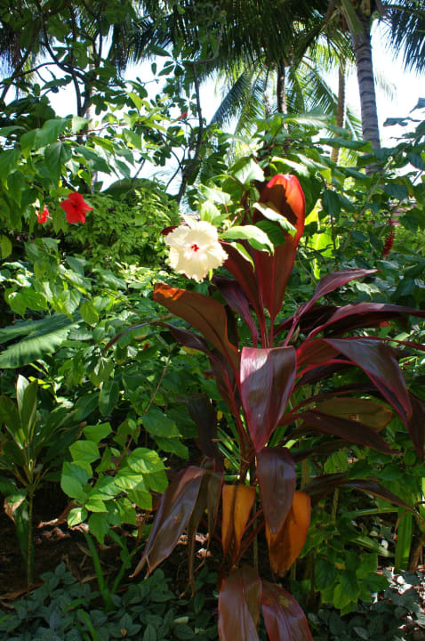 Farbenfroh Kuramathi Maldives