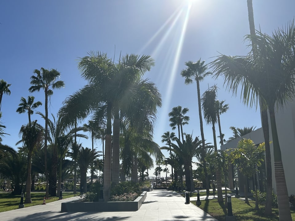 Gartenanlage Hotel Riu Gran Canaria