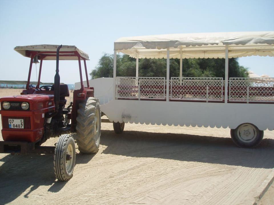 Strandshuttle Hotel Novum Garden Side