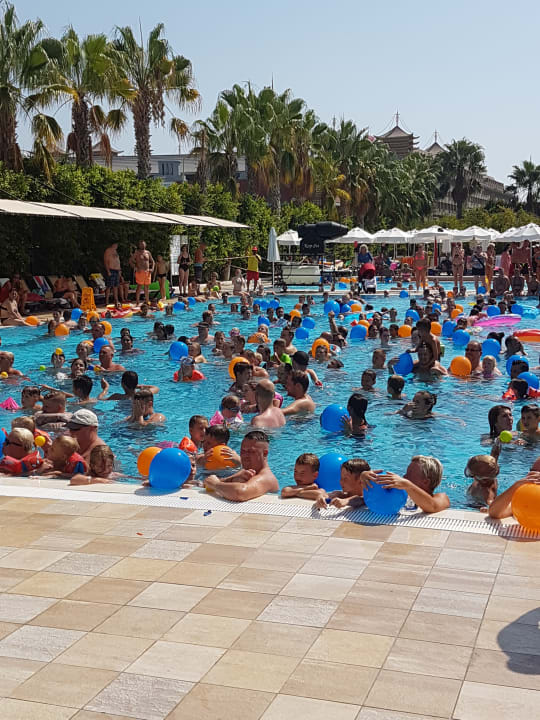 Pool Hane Family Resort