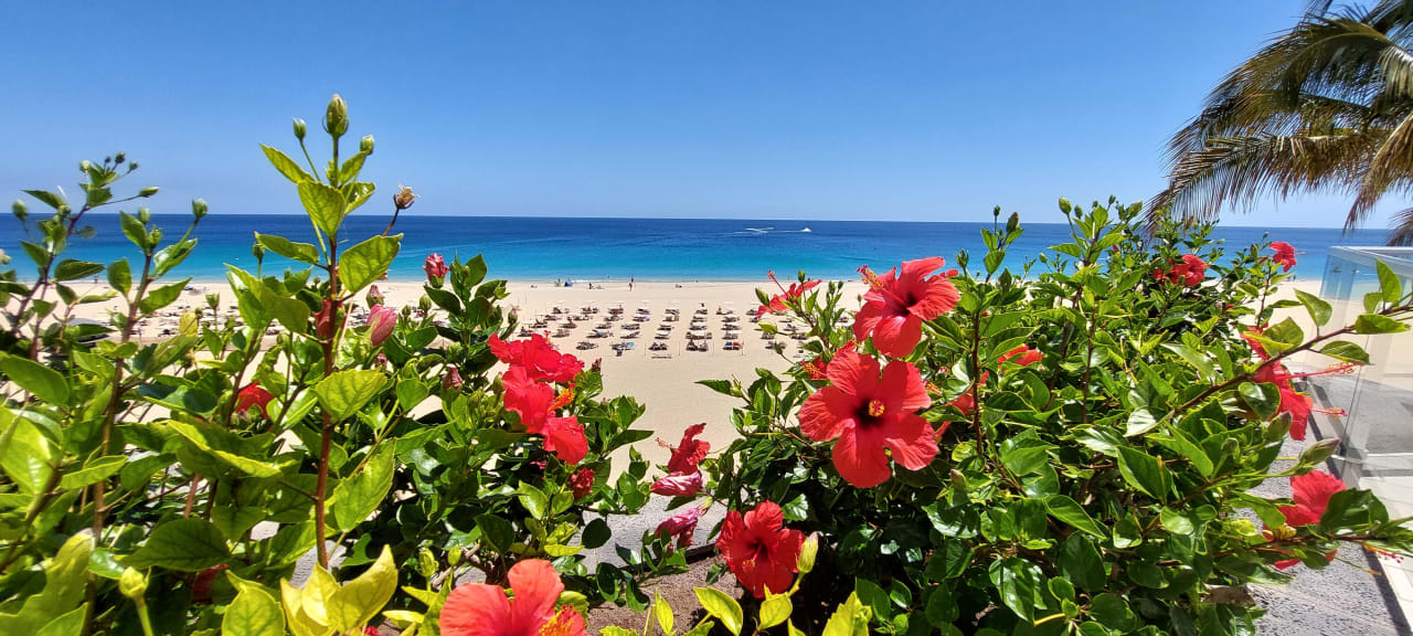 Ausblick Hotel Riu Palace Jandia