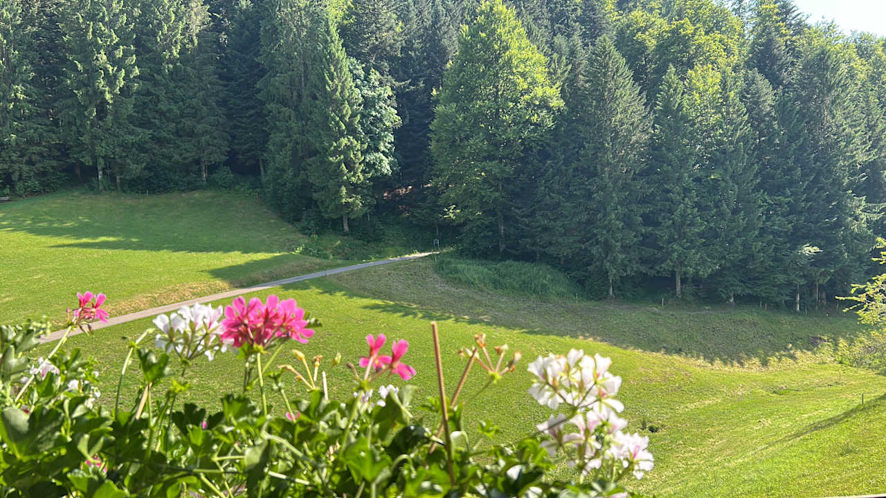 Ausblick Bauernhof Schreinerhäusle