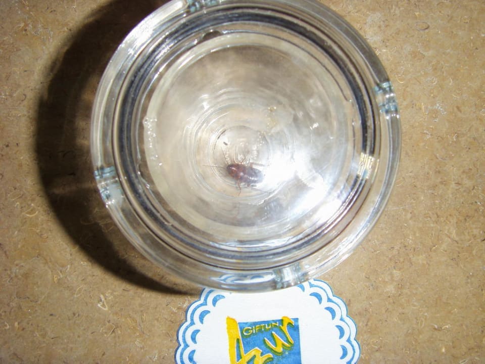 Kakalake Giftun Azur Resort