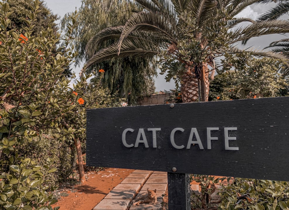 Außenansicht Phãea Cretan Malia