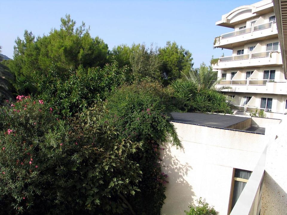 Blick vom Balkon BG Hotel Rei del Mediterrani Palace