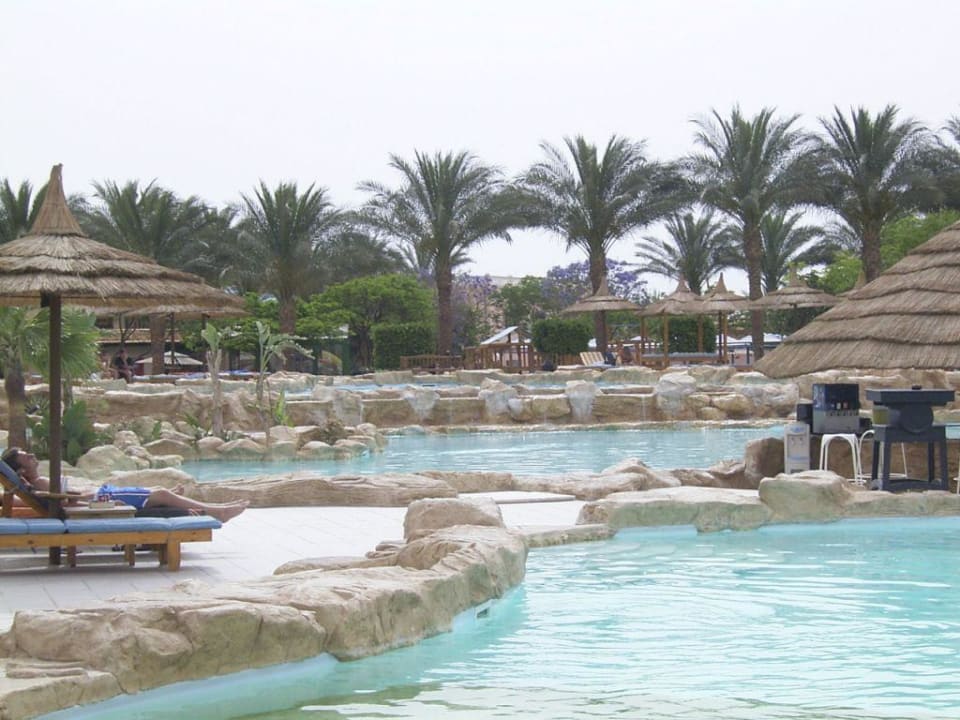 Pool Beach Albatros Resort