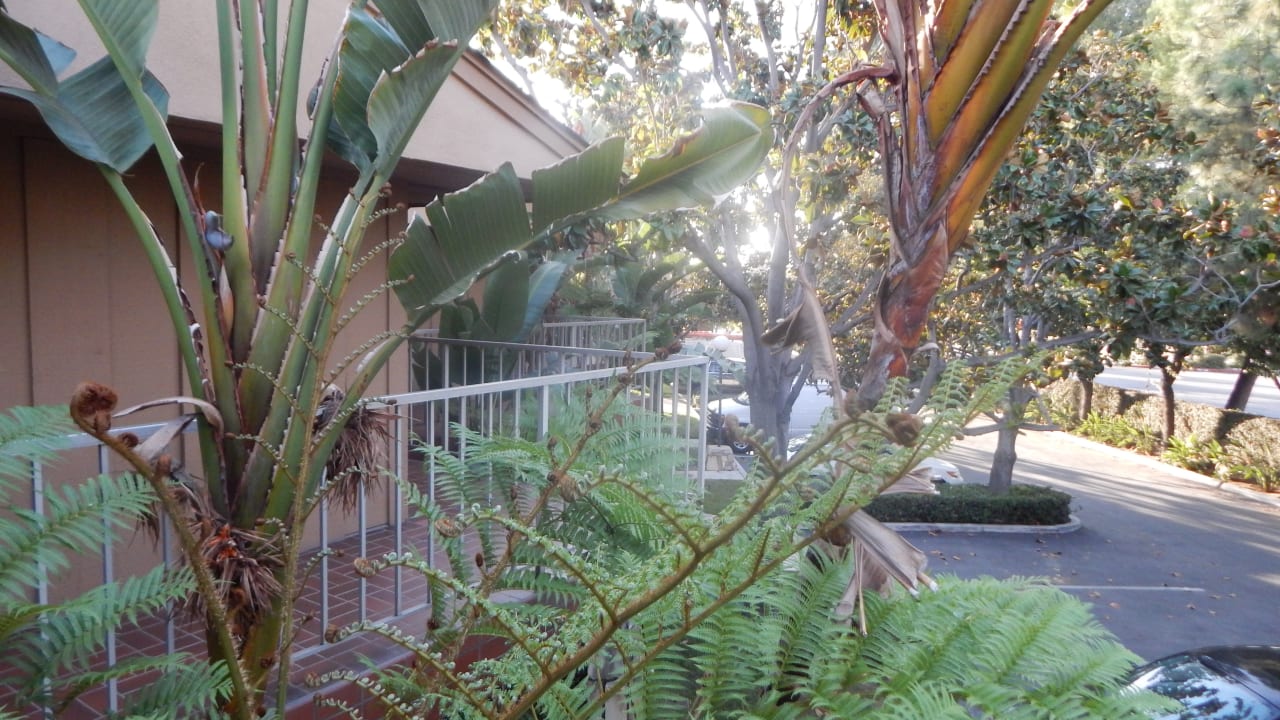 Ausblick Best Western Hotel Pine Tree Motel