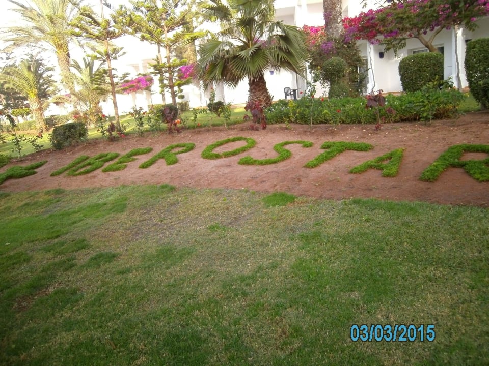 Grüner gepflanzter Hotelkettenname einfach schön Iberostar Waves Founty Beach