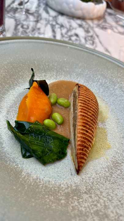 Gastro Acanthus Cennet Barut Collection