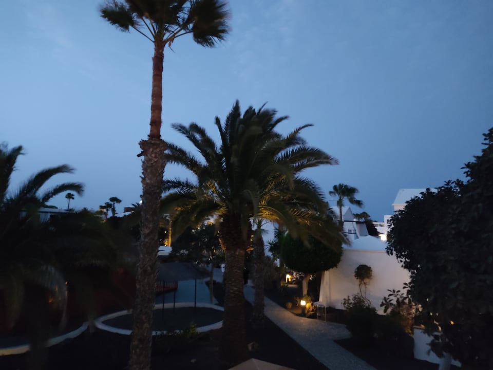 Ausblick allsun App.-Hotel Albatros