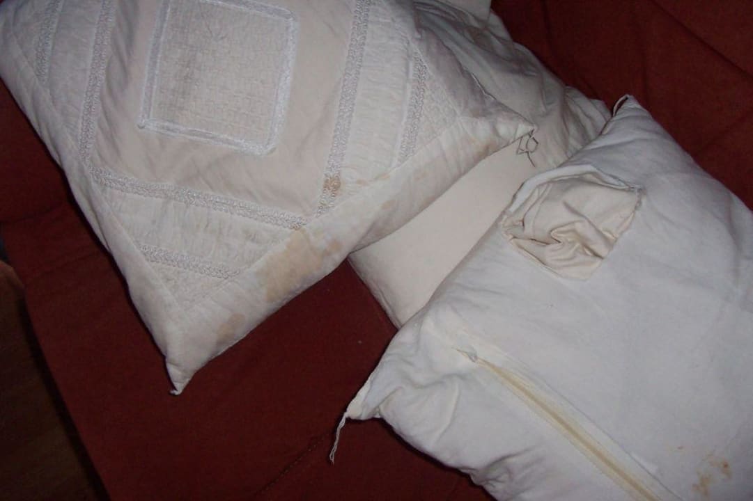 Im Wohnraum Het Grootslag Vakantiepark