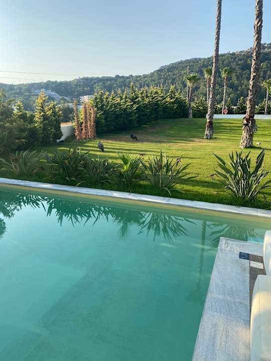 Zimmer White Dreams Resort & Anex