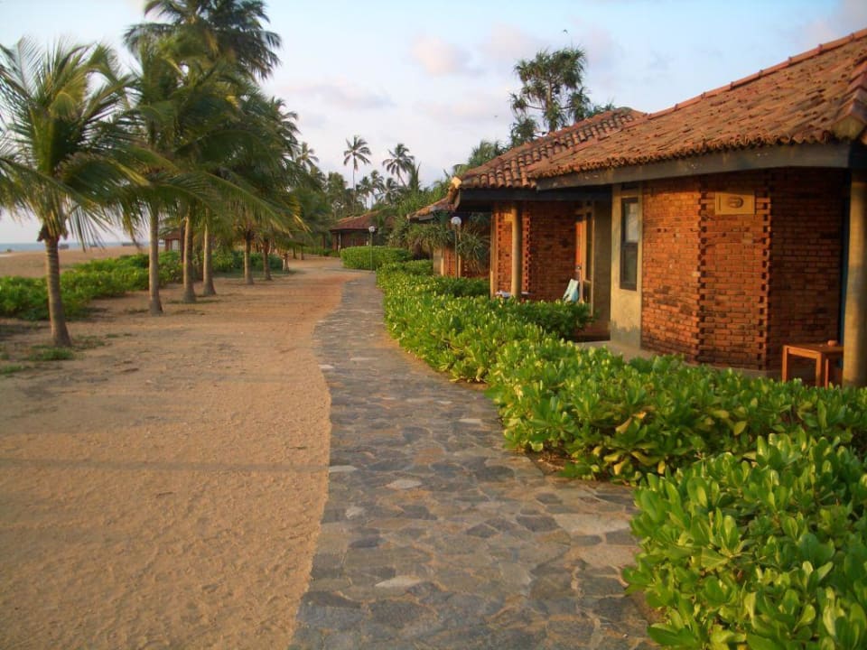 Bungalows erste Reihe Club Hotel Dolphin