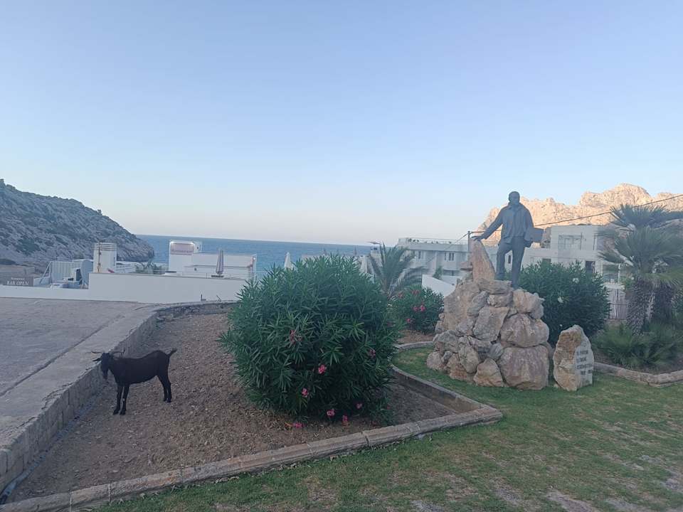 Sonstiges Globales Don Pedro