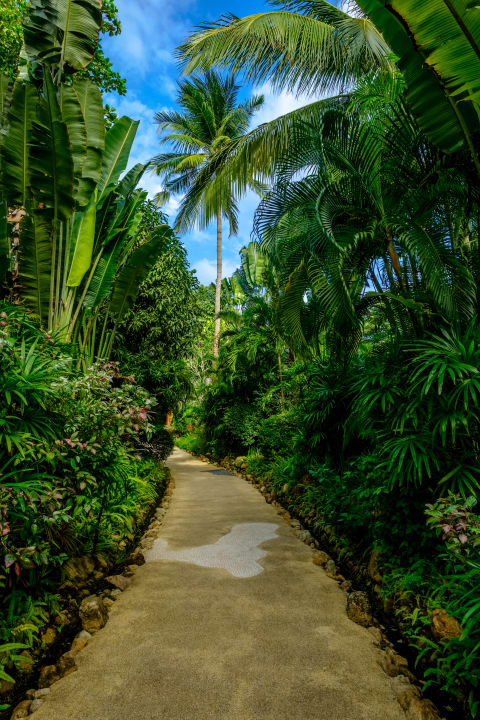 Gartenanlage Zazen Boutique Resort & Spa