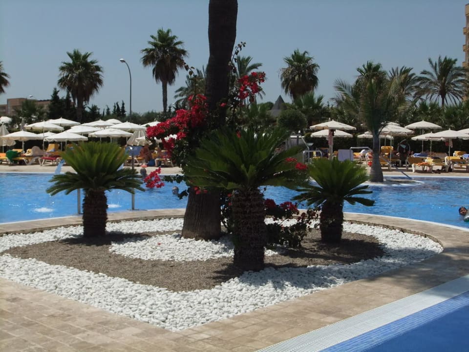 Die schöne & gepflegte Poolanlage Hipotels Cala Millor Park