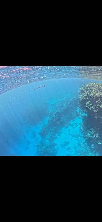 Pool TUI MAGIC LIFE Kalawy