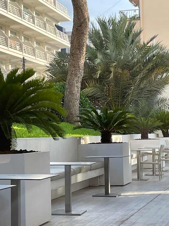 Gastro Grupotel Farrutx