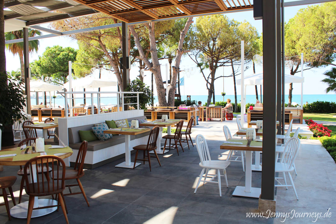 Gastro Acanthus Cennet Barut Collection