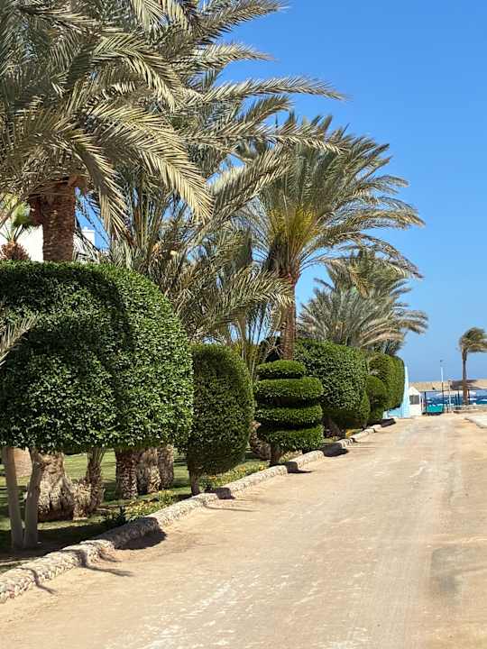 Außenansicht Arabella Azur Resort