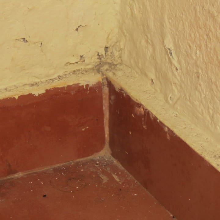 Schimmel Wyndham Alltra Samana