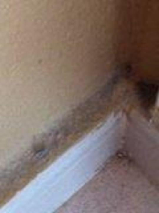 Wohnraum Scheuerleiste Hotel El Duque