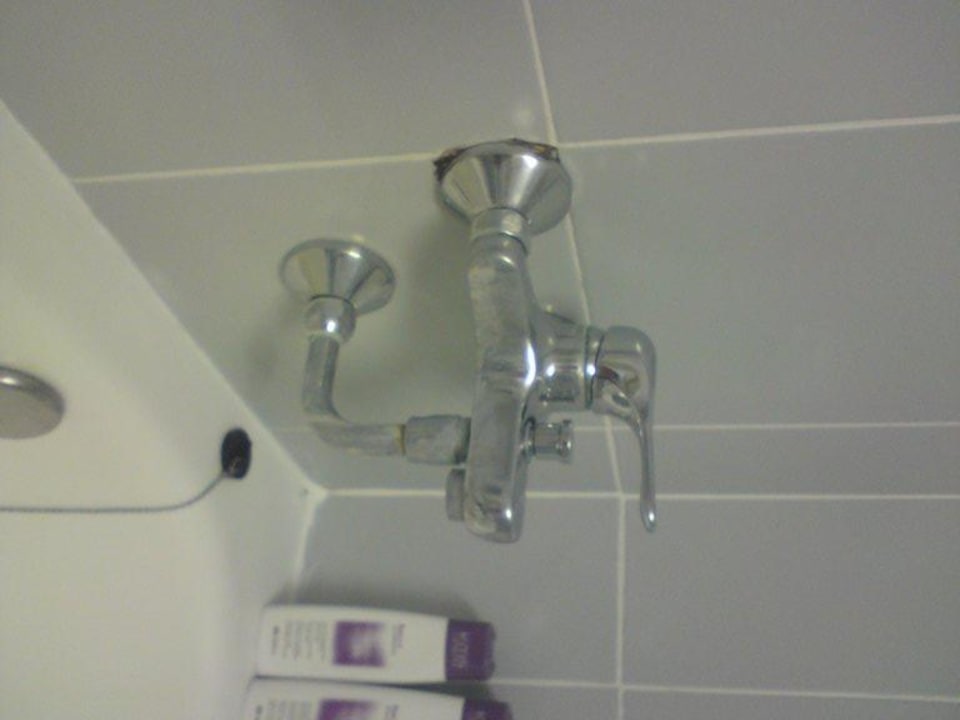 So ein Schweinkram! Hipotels Mediterraneo Club