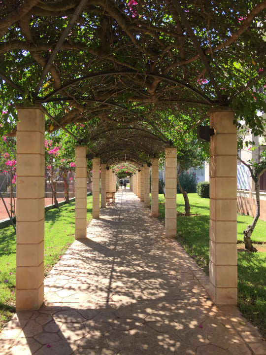 Gartenanlage Protur Floriana Resort Aparthotel