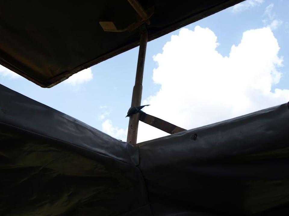 Offenes Dach Mara Timbo Camp