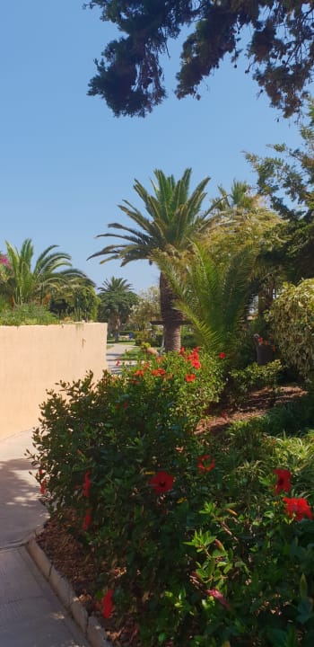 Gartenanlage Anissa Beach & Village
