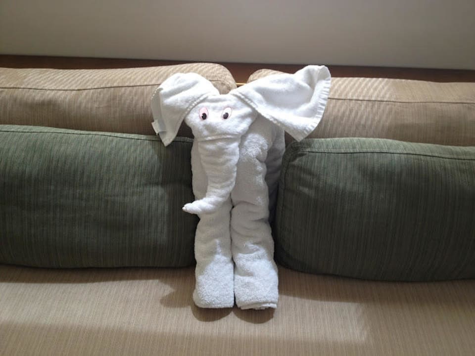 Jeden Tag überrascht uns ein neues Tier Hotel Discovery Shores Boracay