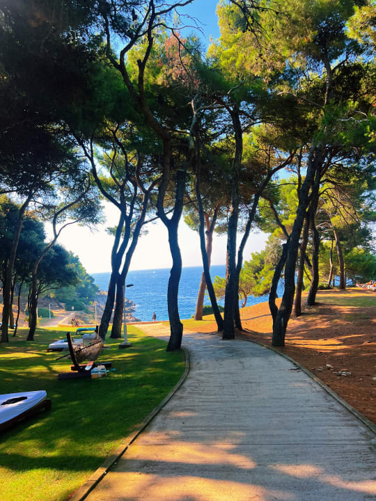 Gartenanlage Park Plaza Arena Pula