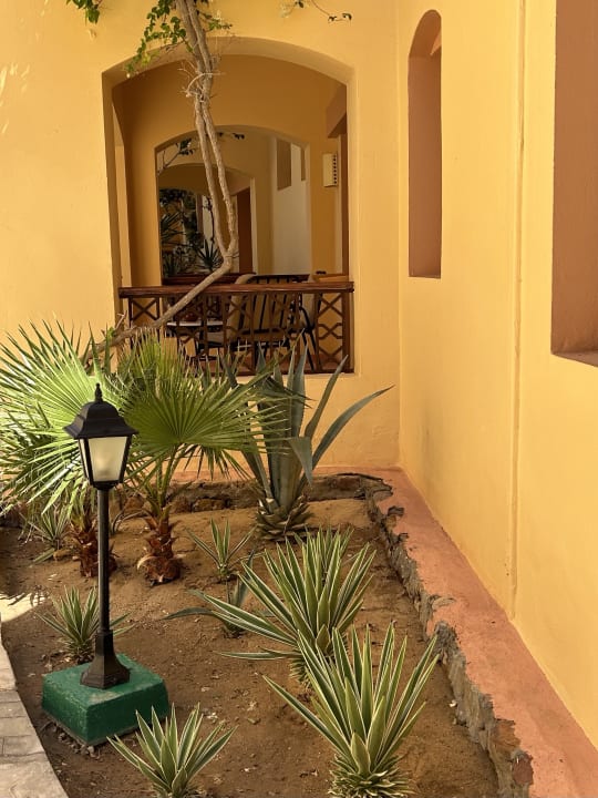 Sonstiges Steigenberger Coraya Beach - Adults only