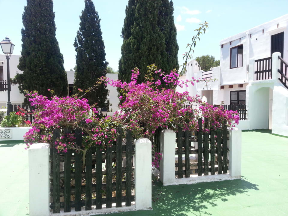 Bepflanzung im Innenhof Hotel Cala D'Or Park