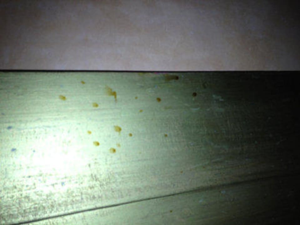 Siff im Zimmer Djerba Aqua Resort