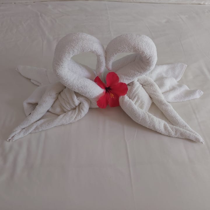 Zimmer Friday Attitude