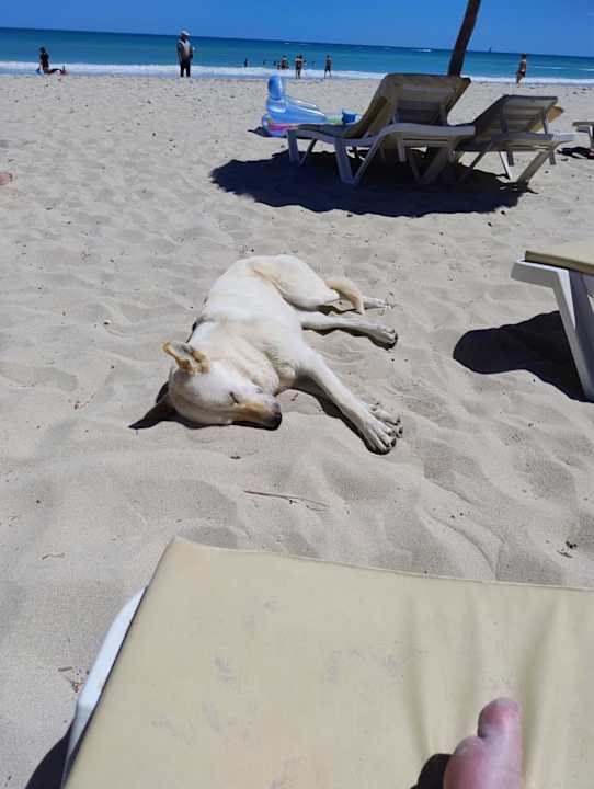 Strand TUI MAGIC LIFE Penelope Beach