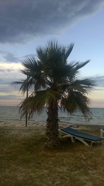 Idyle am Strand Hotel El Mouradi Skanes Beach