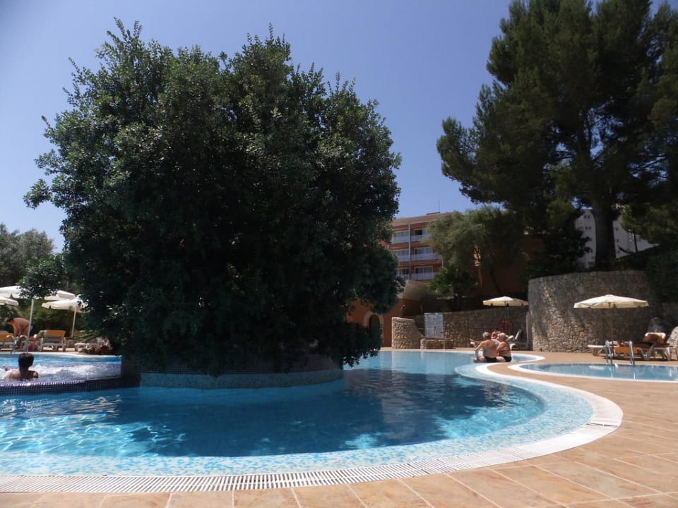 Poolanlage allsun Hotel Cormoran