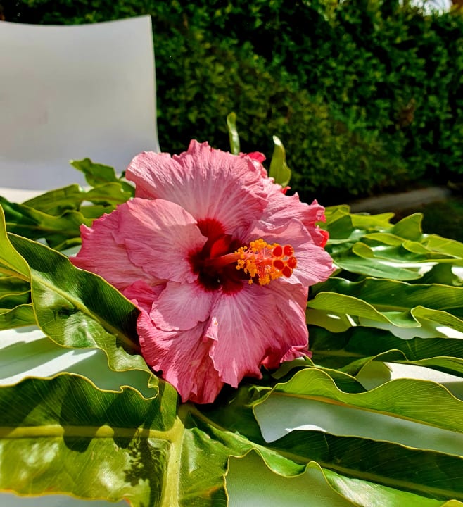 Sonstiges R2 Bahía Playa Design Hotel & Spa - Adults Only