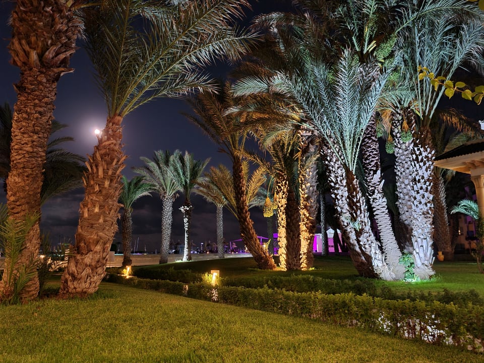 Gartenanlage Iberostar Waves Averroes