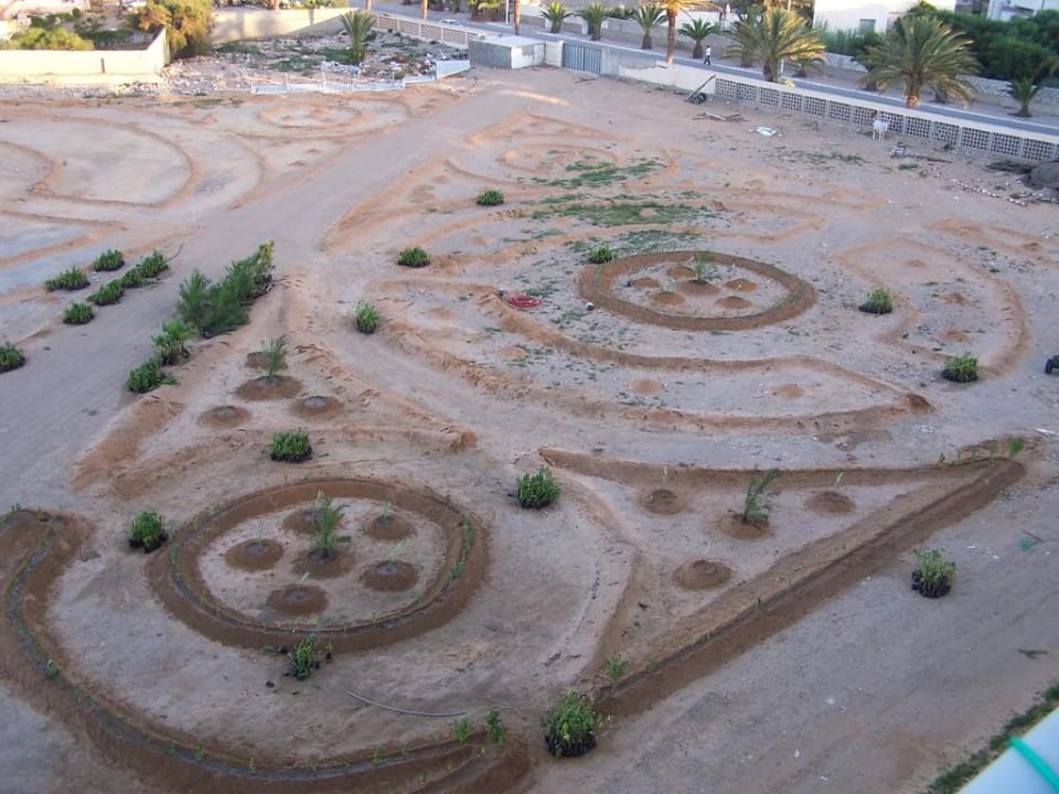 Neuanlage eines Palmengarten El Mehdi Beach Resort