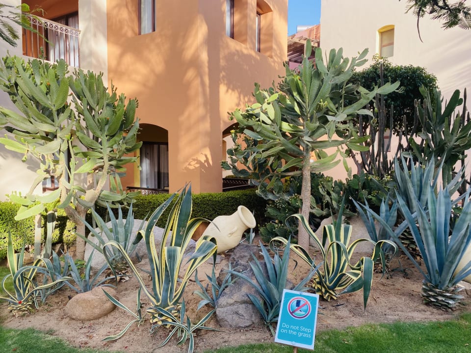 Gartenanlage Jaz Makadi Saraya Resort