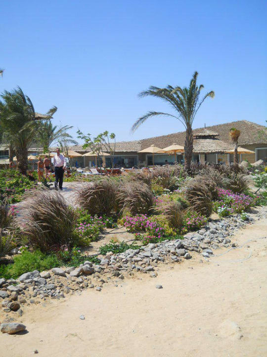 Piękny ogród Amwaj Beach Club Abu Soma Resort